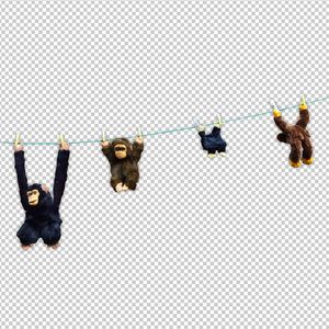 做爱视频地址入口
